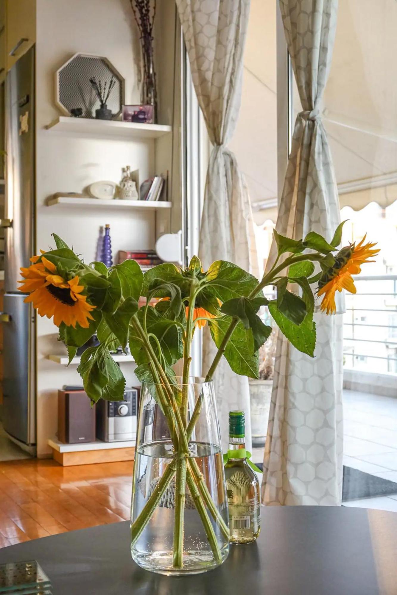 Skyview Penthouse / Central Athènes Extérieur photo